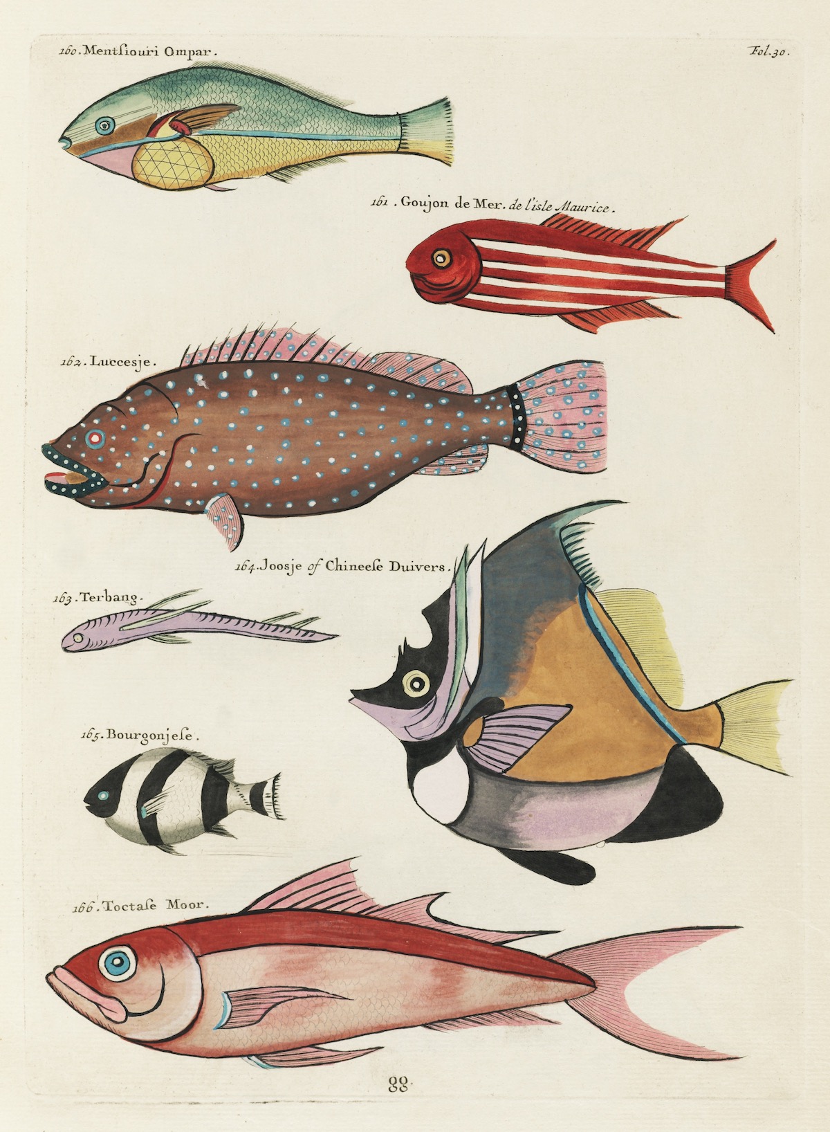 Louis Renard fish 18th Century art