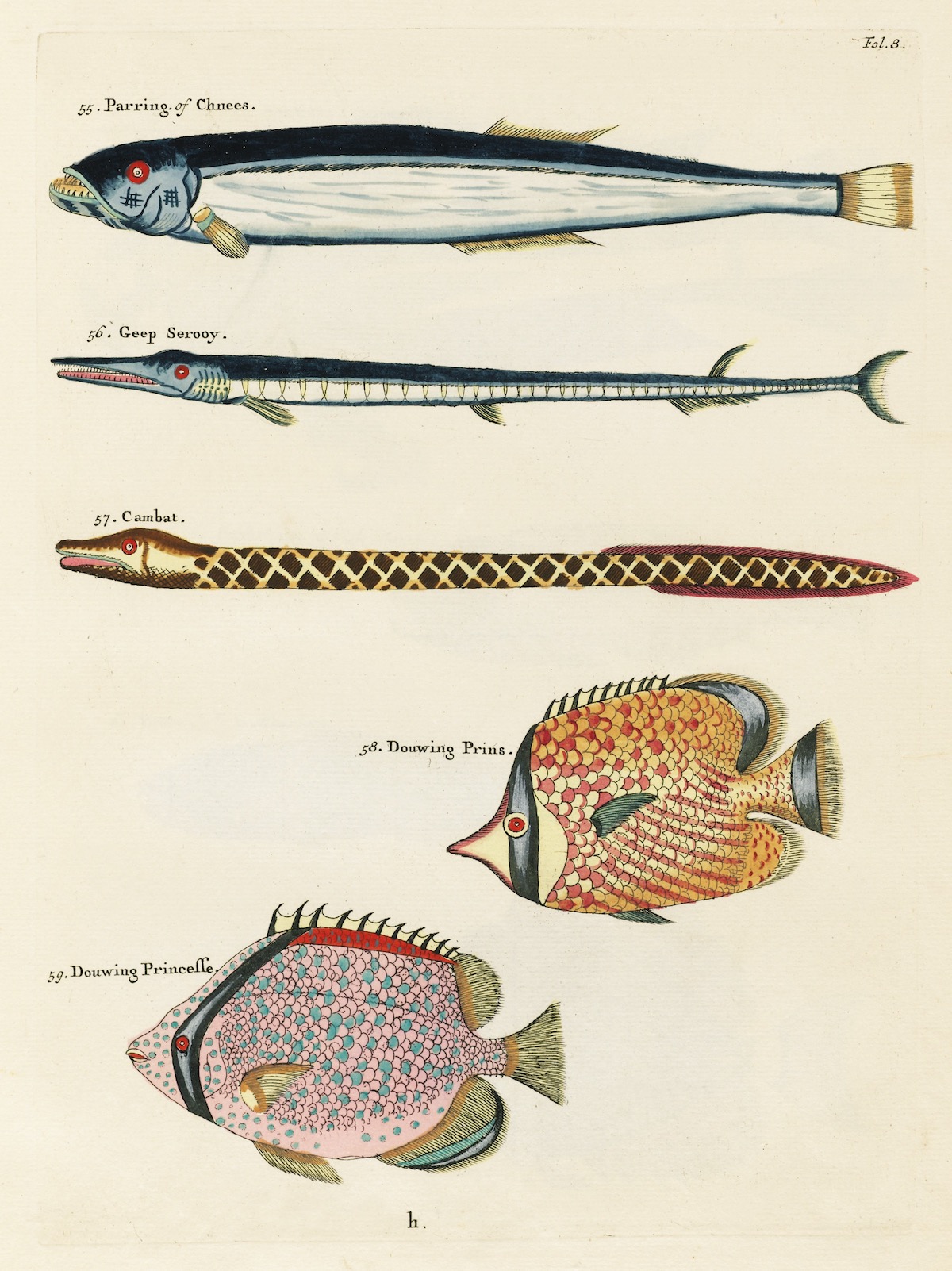 Louis Renard fish 18th Century art