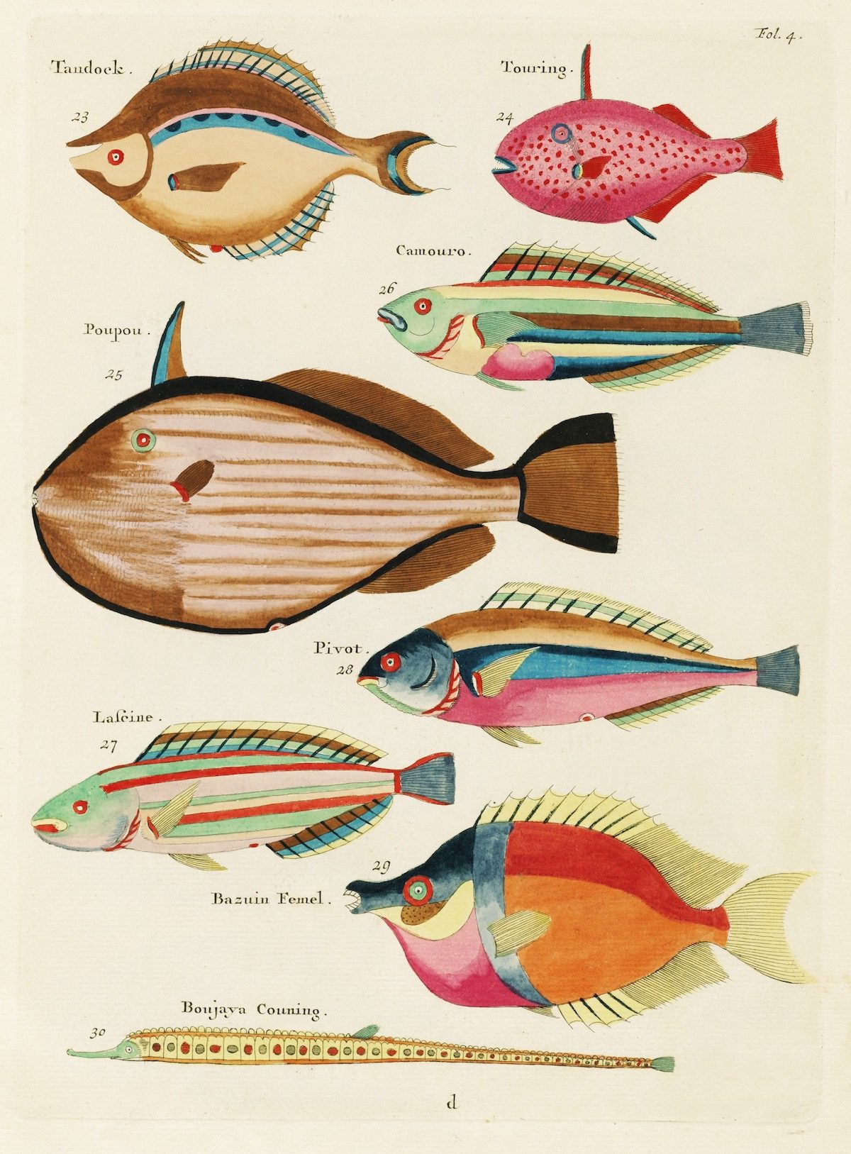 Louis Renard fish 18th Century art