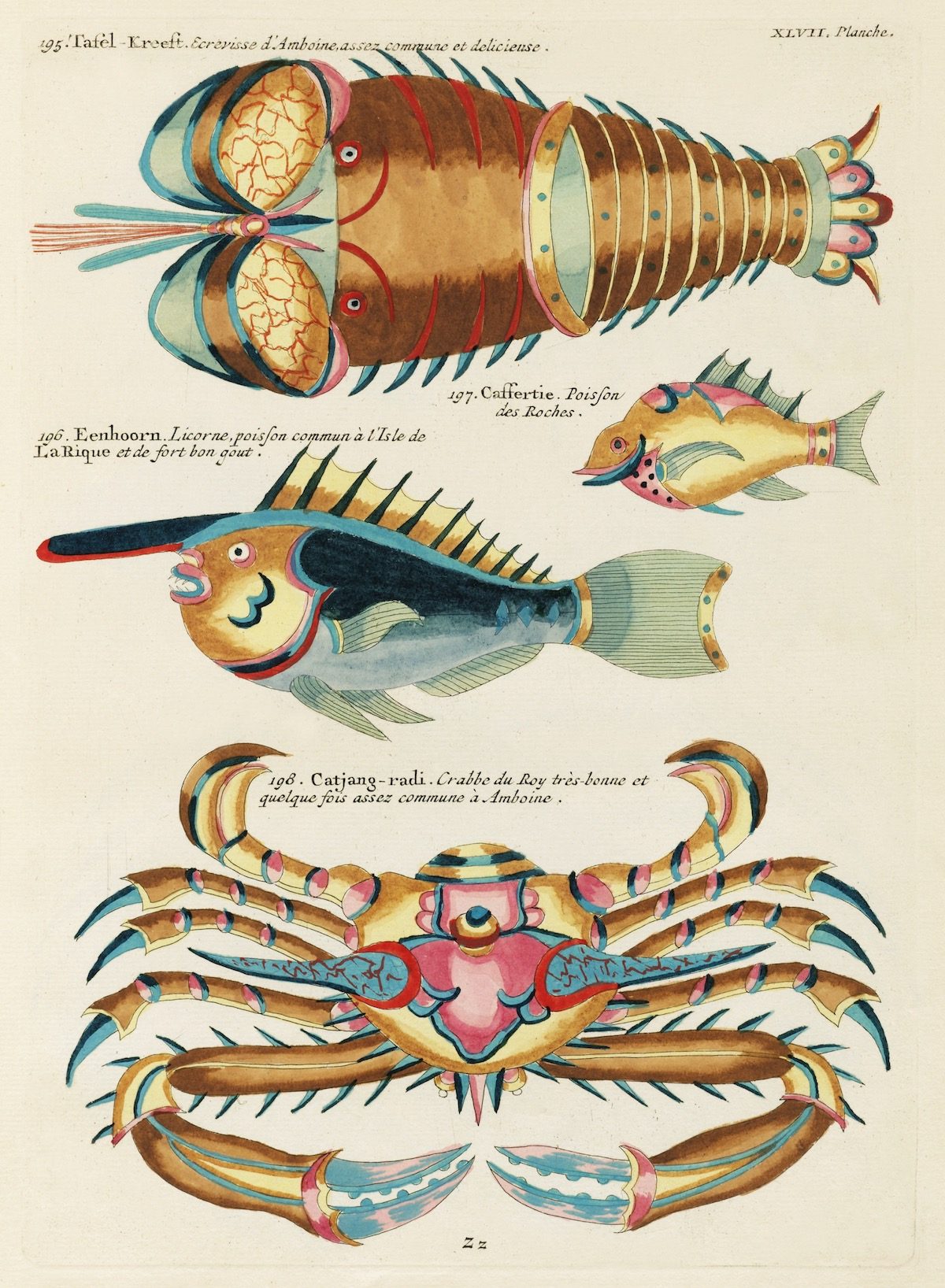 Louis Renard fish 18th Century art