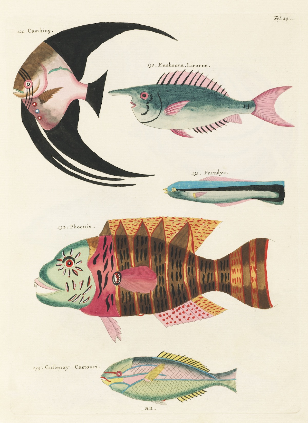 Louis Renard fish 18th Century art