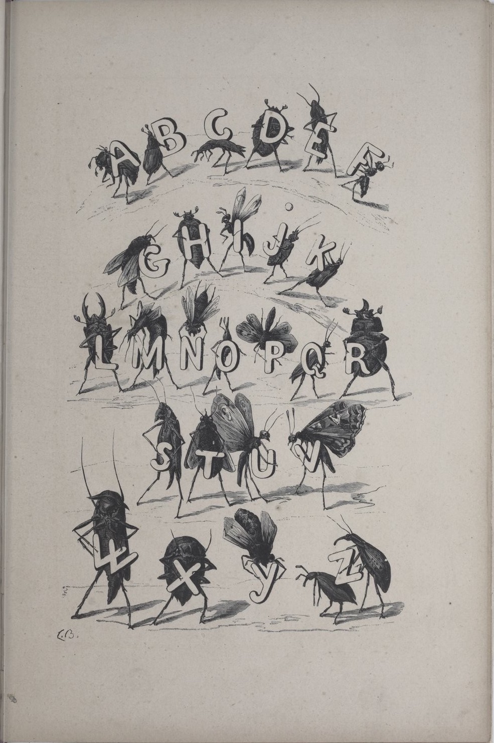 The Insect Alphabet 1883