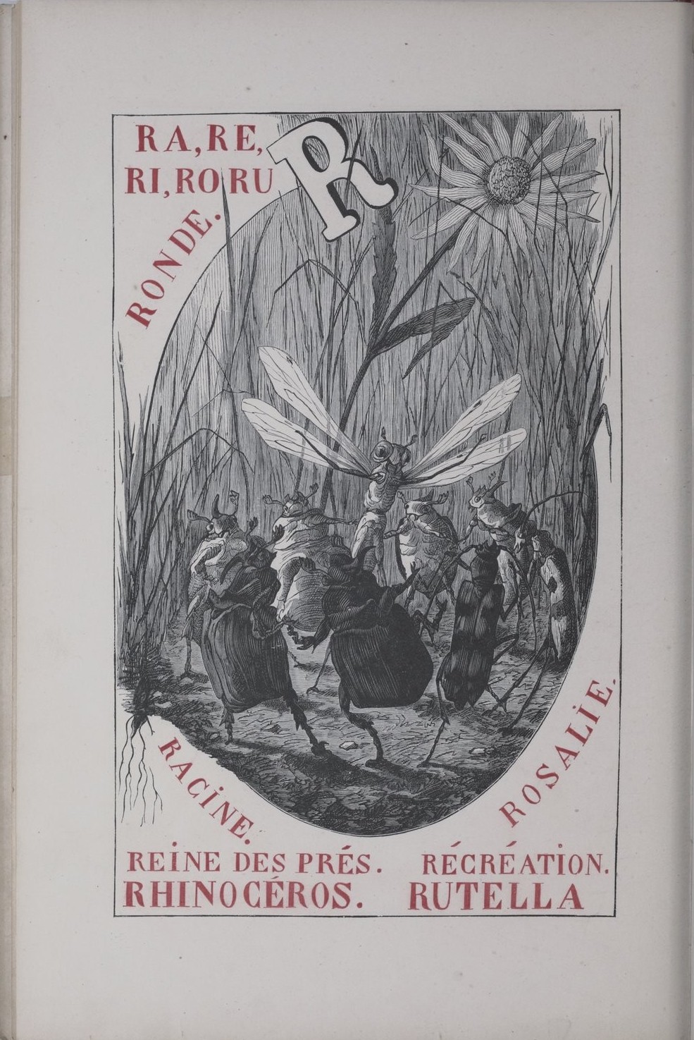 The Insect Alphabet 1883