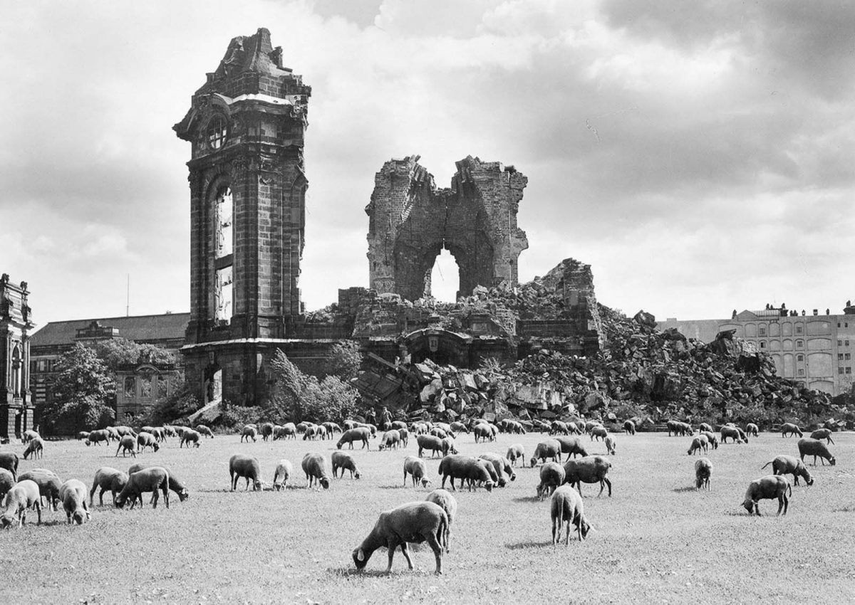 Dresden fire bombing 1945