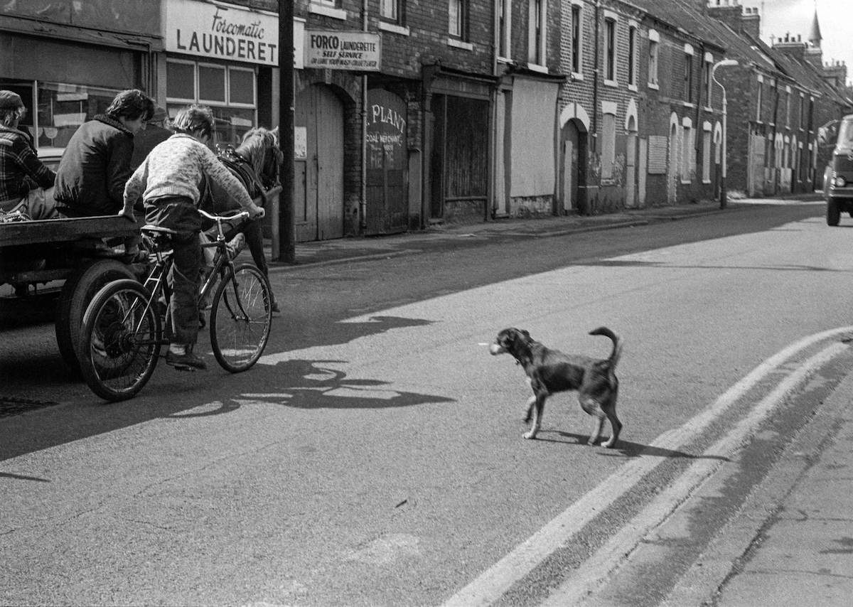 Horse & Cart, Division Rd area, Hull, 1979