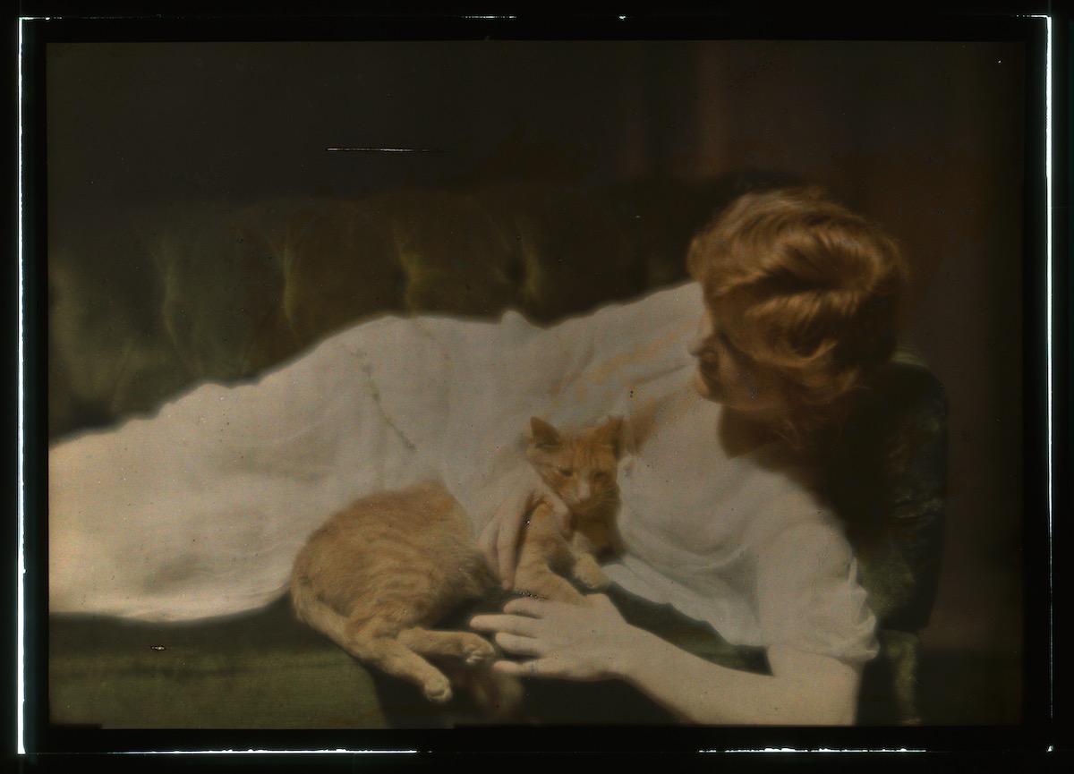 Arnold Genthe's Cat People