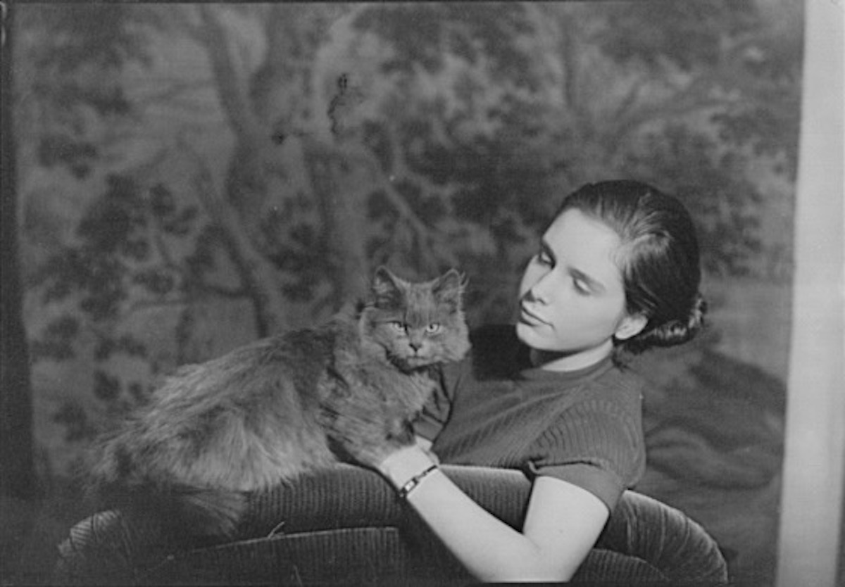 Arnold Genthe's Cat People