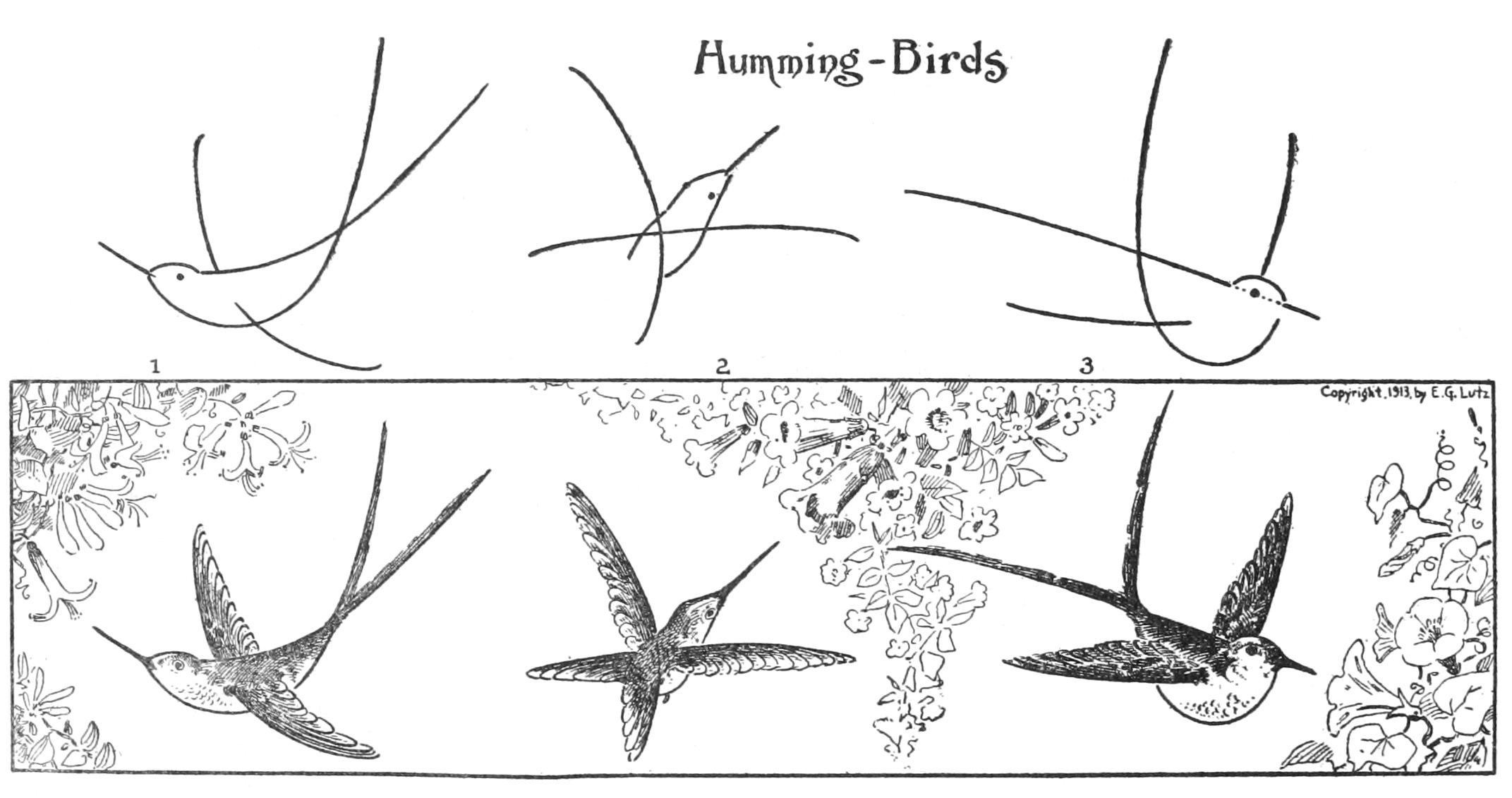 What to Draw and How to Draw it by EG Lutz, 1913