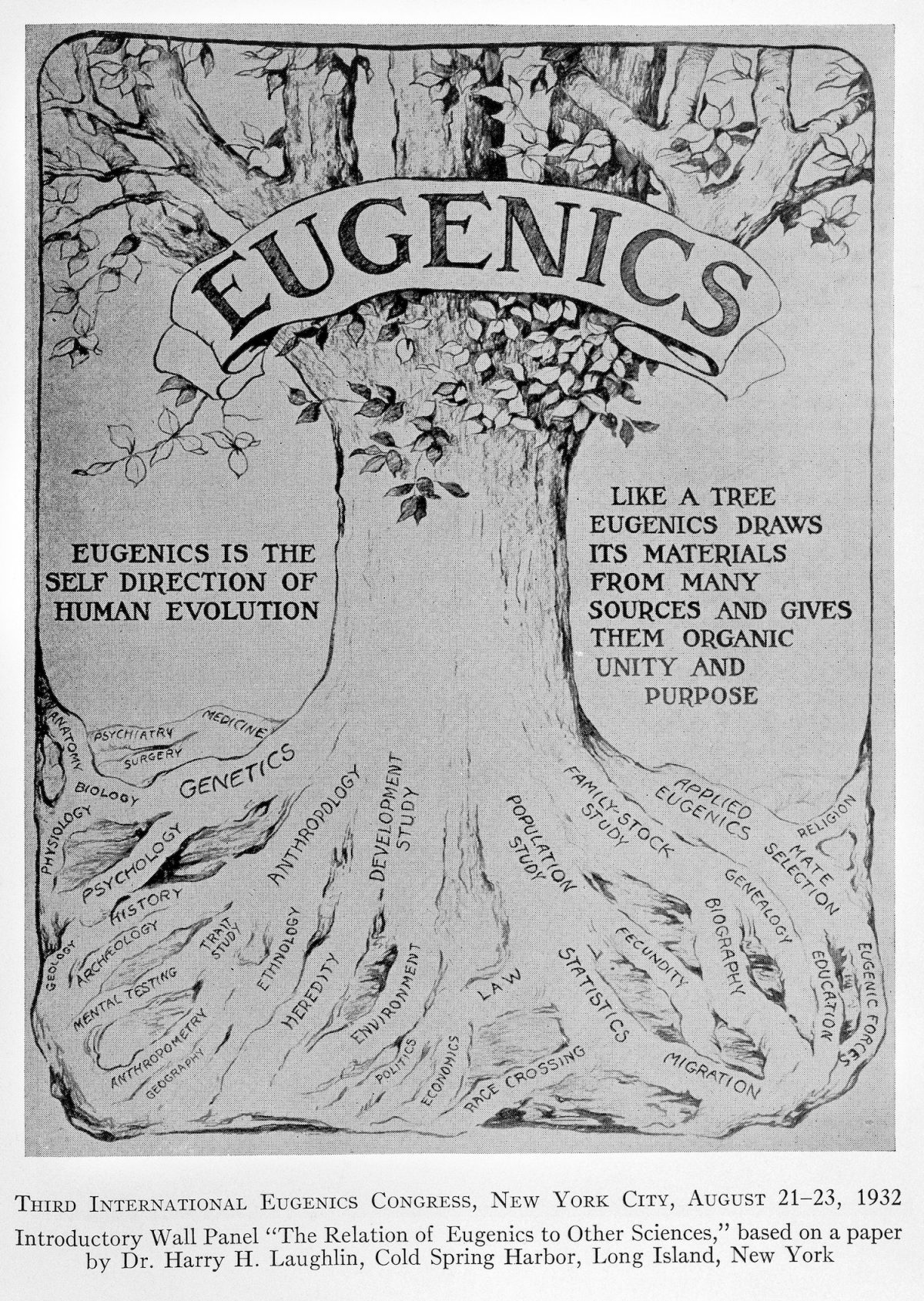 eugenics