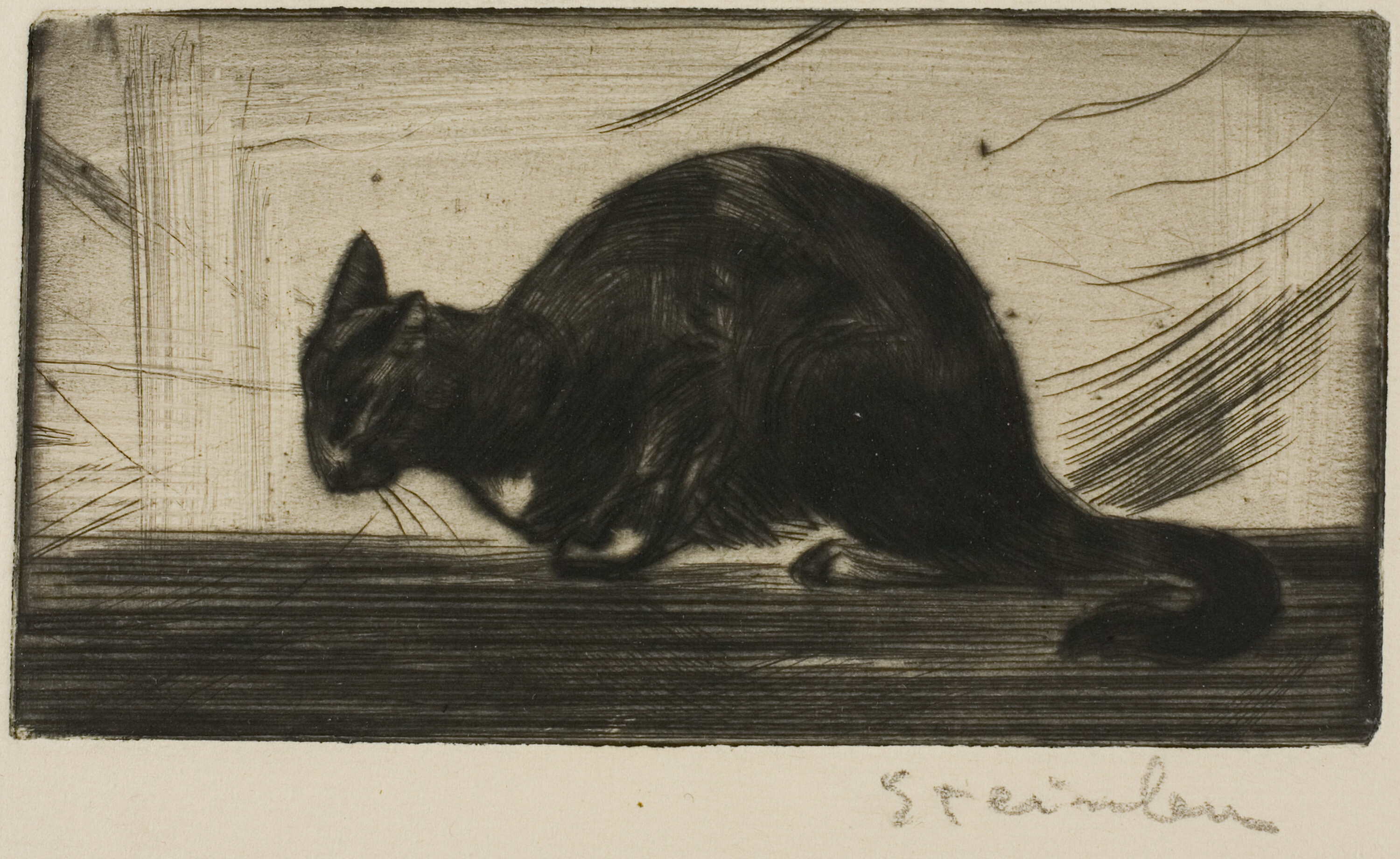 Cat Arching Its BackDate- 1898 Artist- Théophile-Alexandre Steinlen