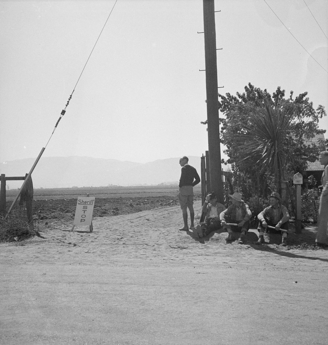 Salinas Valley, California. Deputized "vigilantes" armed with clubs guard entrance to lettuce fields during lettuce strike Contributor Names Lange, Dorothea, photographer