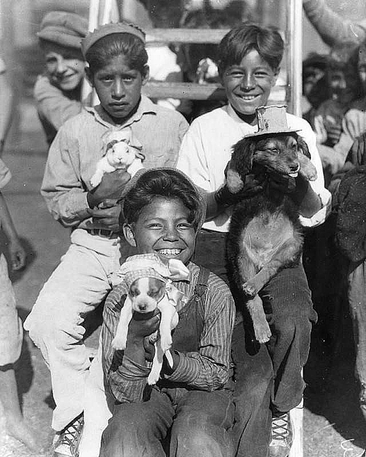 Venice Beach Pet Show 1930s