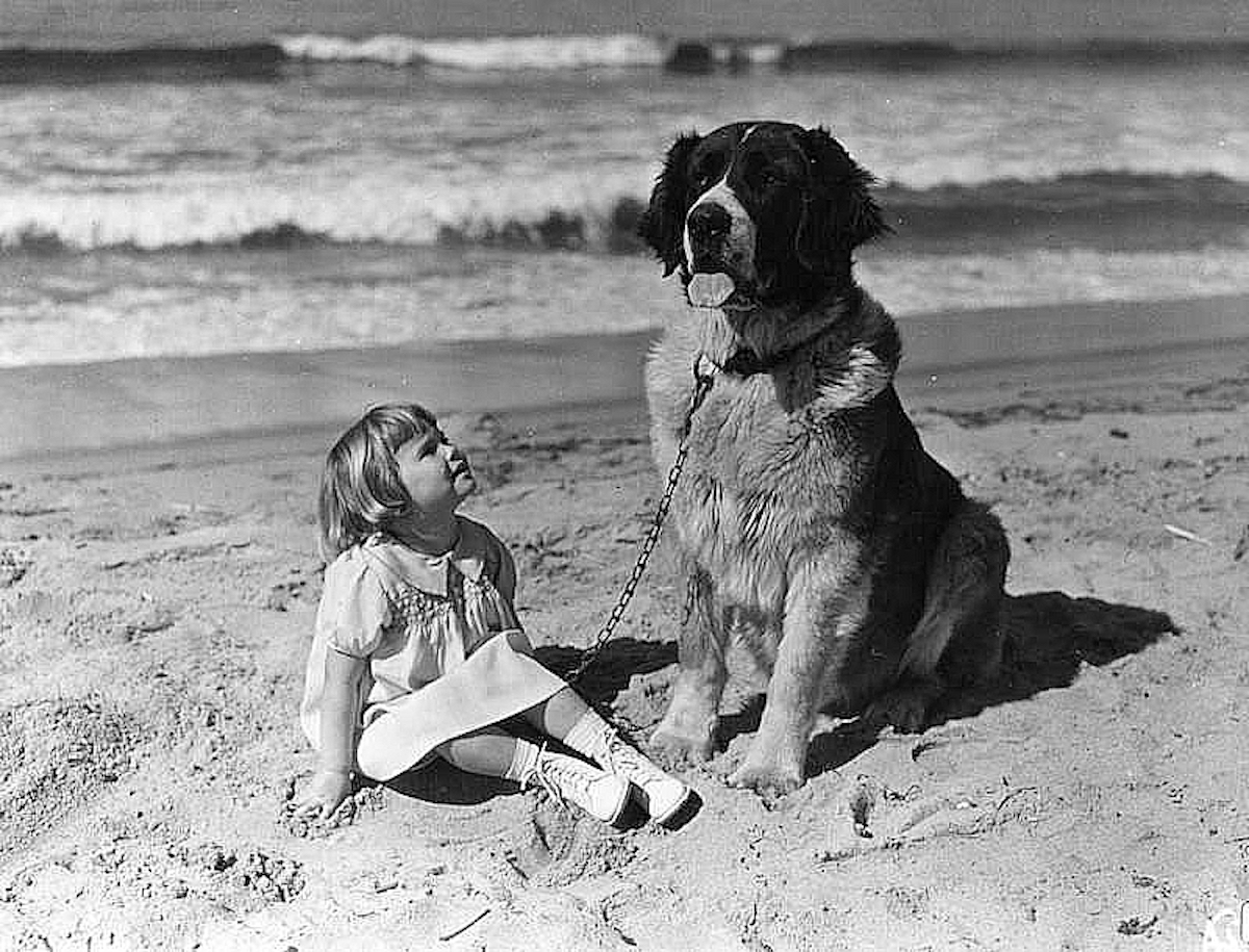 Venice Beach Pet Show 1930s