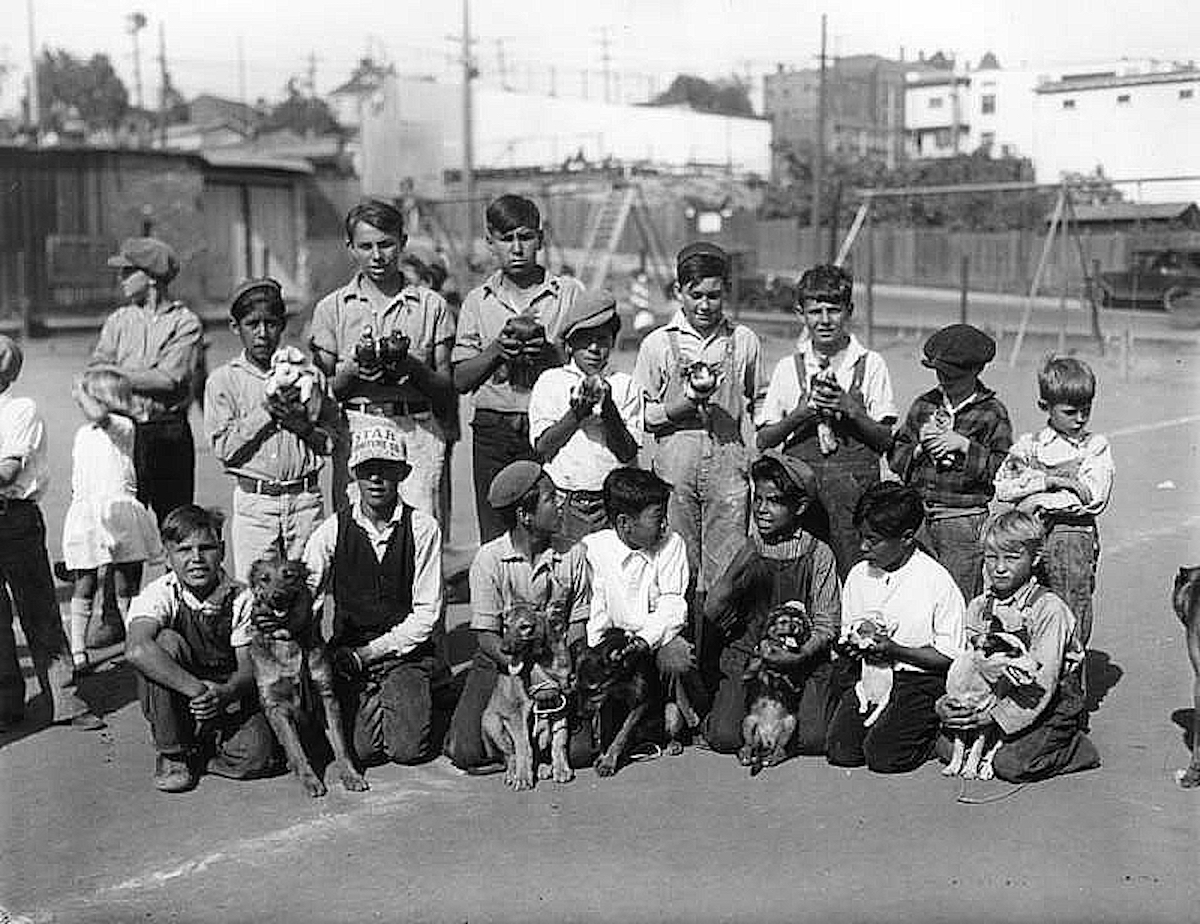 Venice Beach Pet Show 1930s