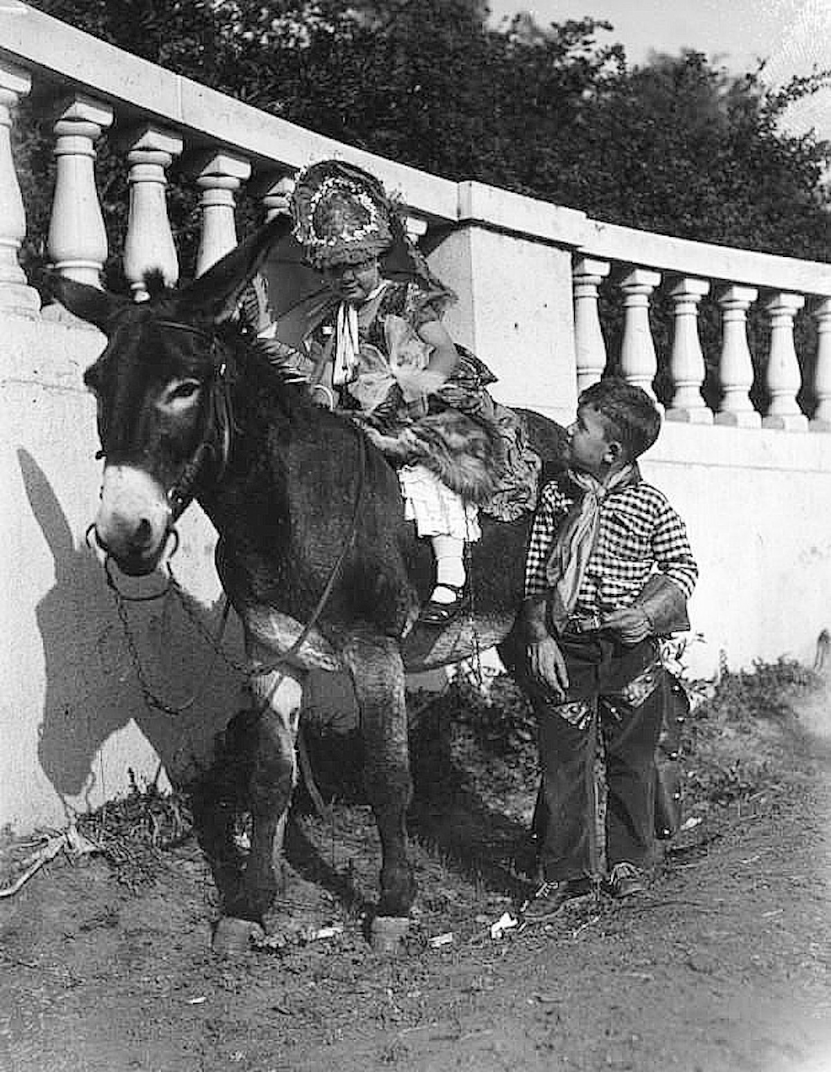 Venice Beach Pet Show 1930s