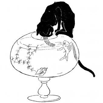 Théophile Alexandre Steinlen’s Illustrations of Cats in Fin de Siecle Paris