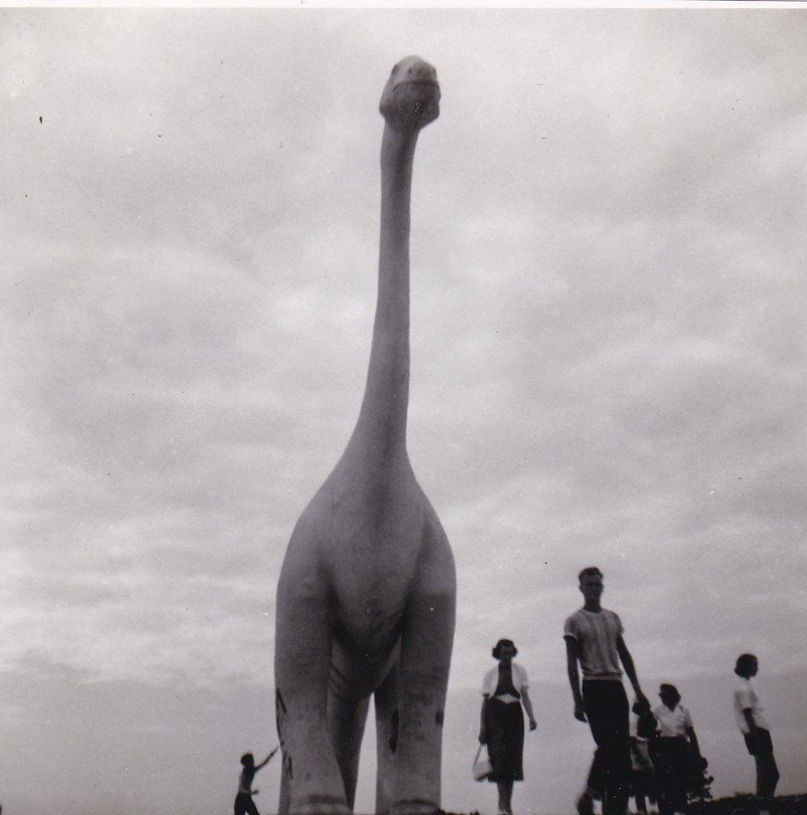 vintage Dinosaur snapshots