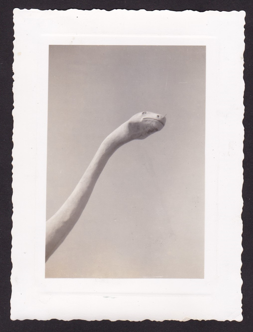 vintage Dinosaur snapshots