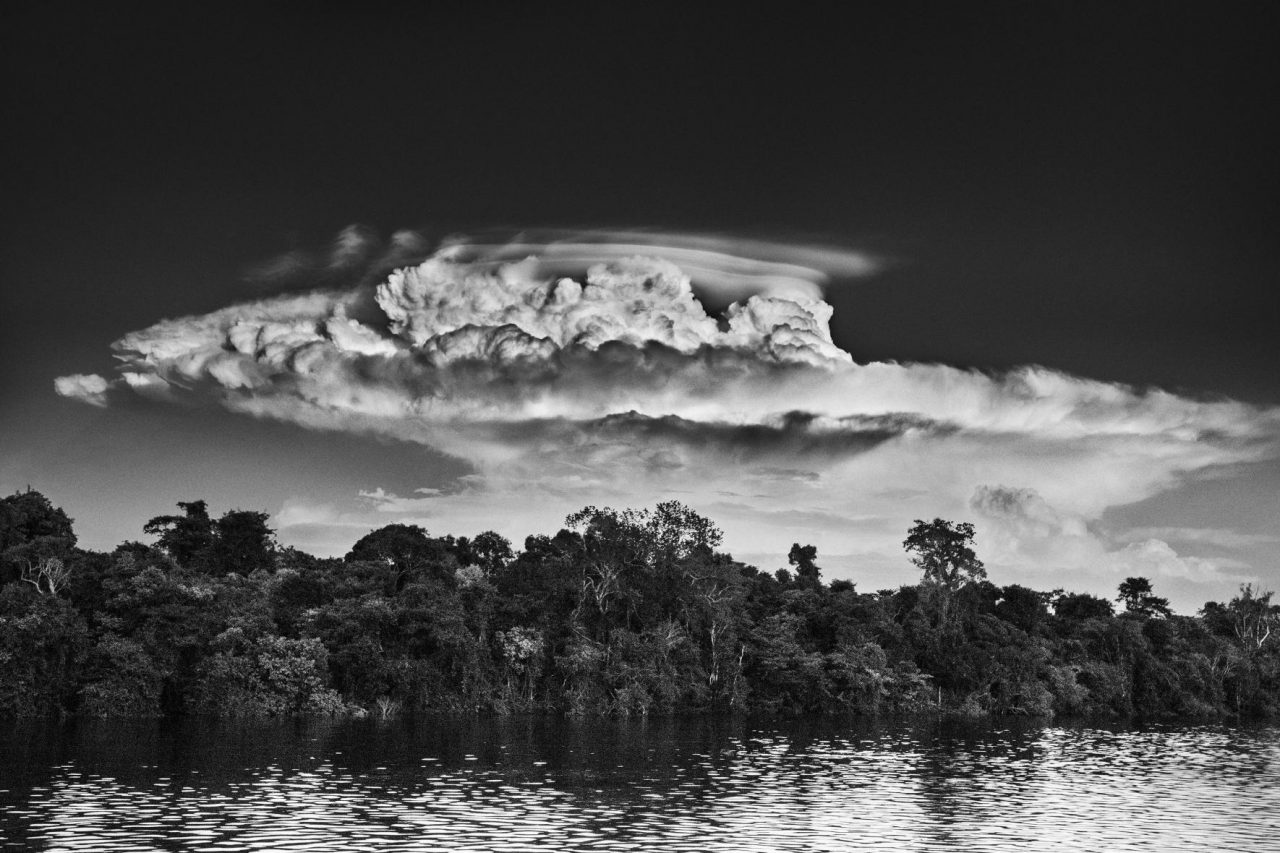 Sebastião Salgado Amazon
