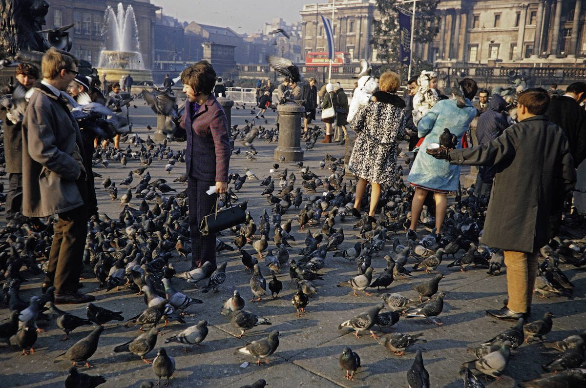 Feeding Pigeons Trafalgar Square London 1960s