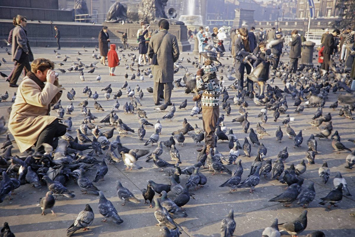 Feeding Pigeons Trafalgar Square London 1960s