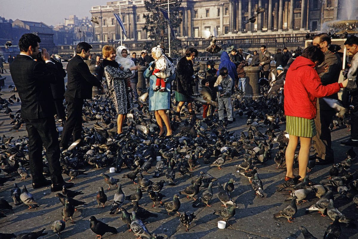 Feeding Pigeons Trafalgar Square London 1960s