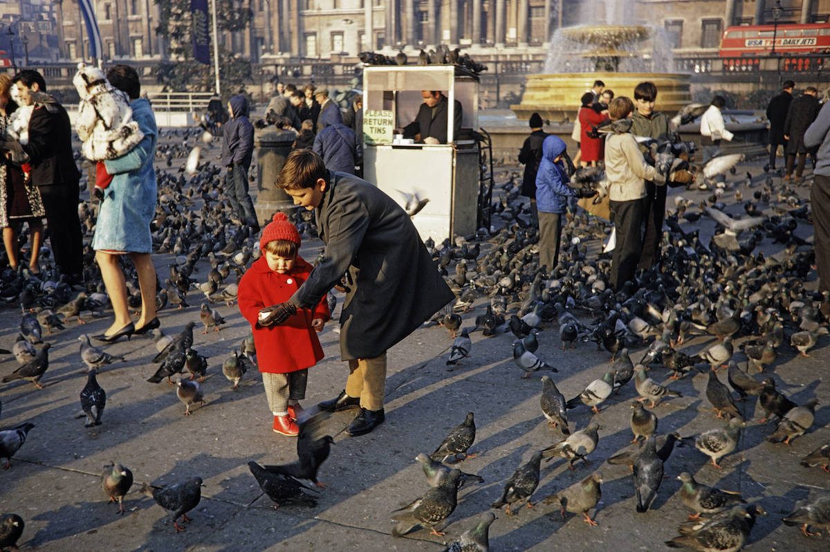 Feeding Pigeons Trafalgar Square London 1960s