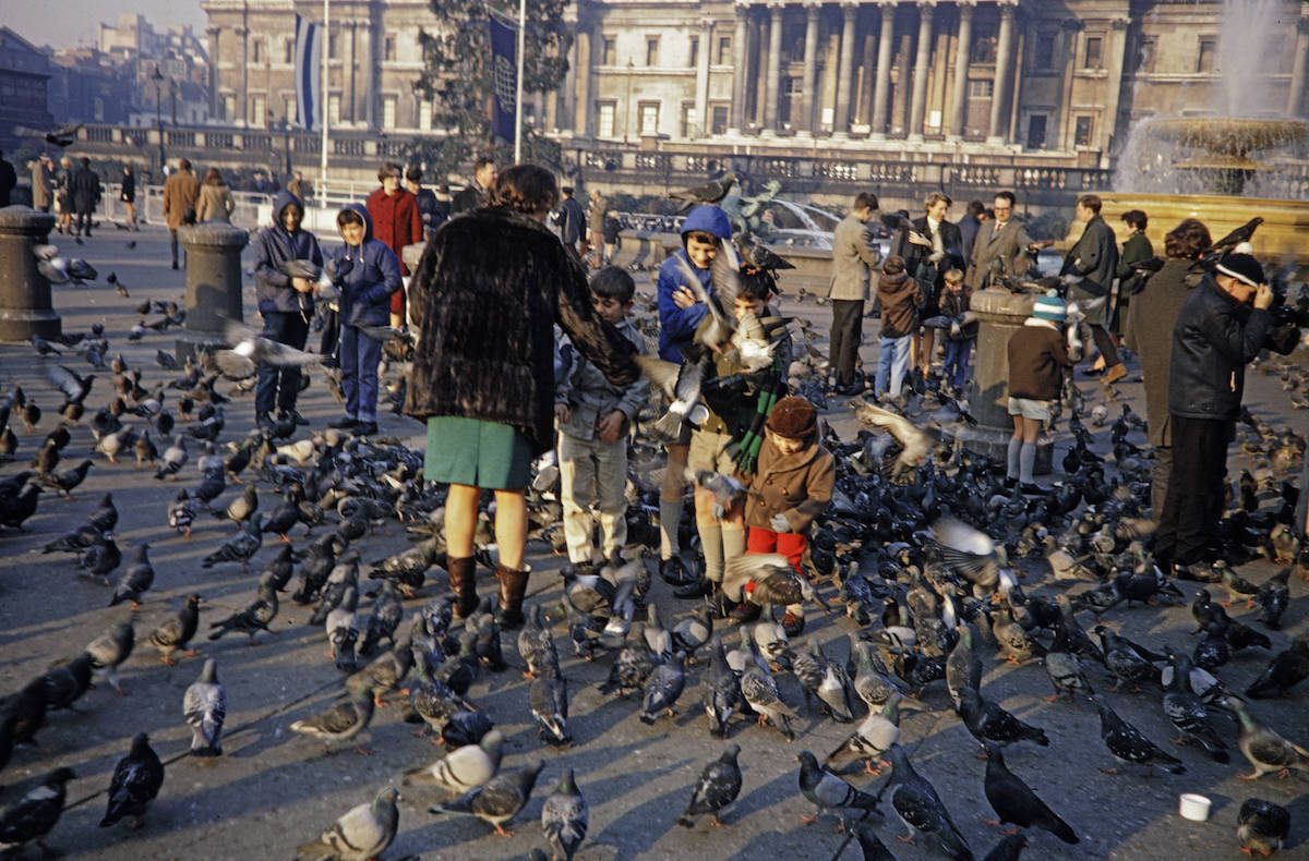 Les Gi's alimentent les pigeons à Trafalgar Square en 1942 WW2 