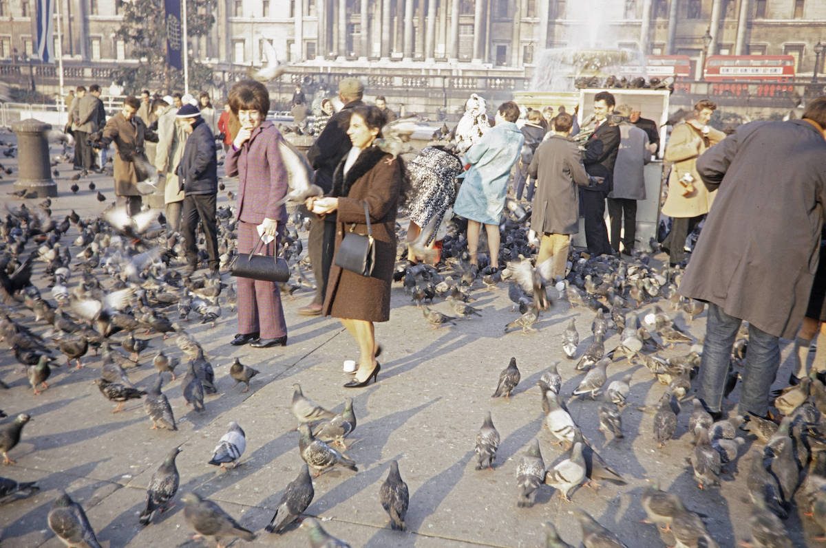 Feeding Pigeons Trafalgar Square London 1960s