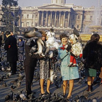 Feeding the Pigeons on London’s Trafalgar Square in 1967
