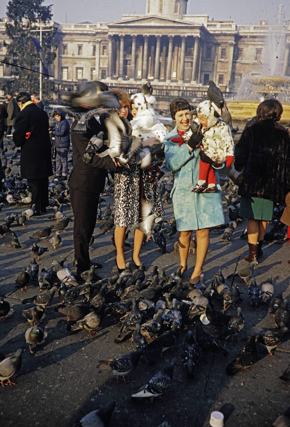 Feeding Pigeons Trafalgar Square London 1960s