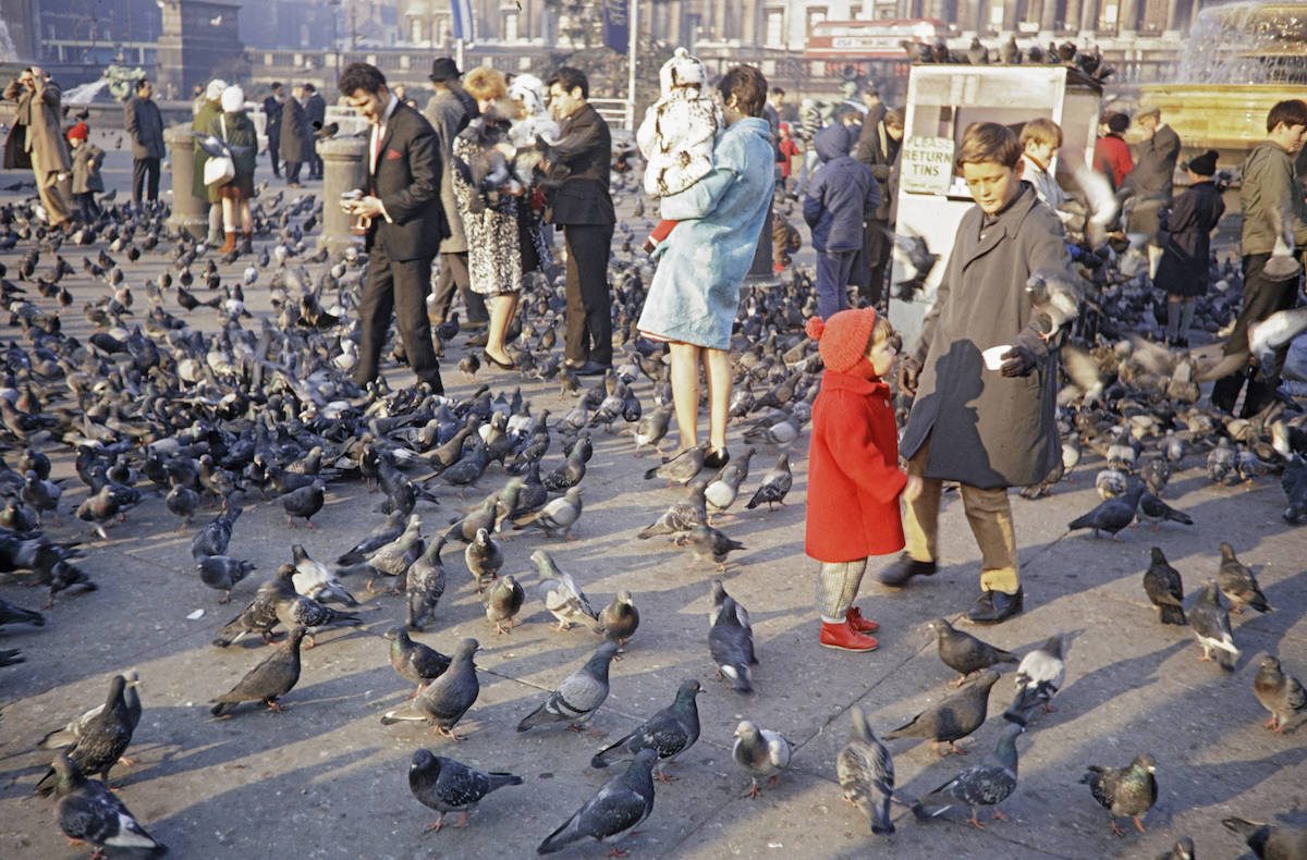 Feeding Pigeons Trafalgar Square London 1960s