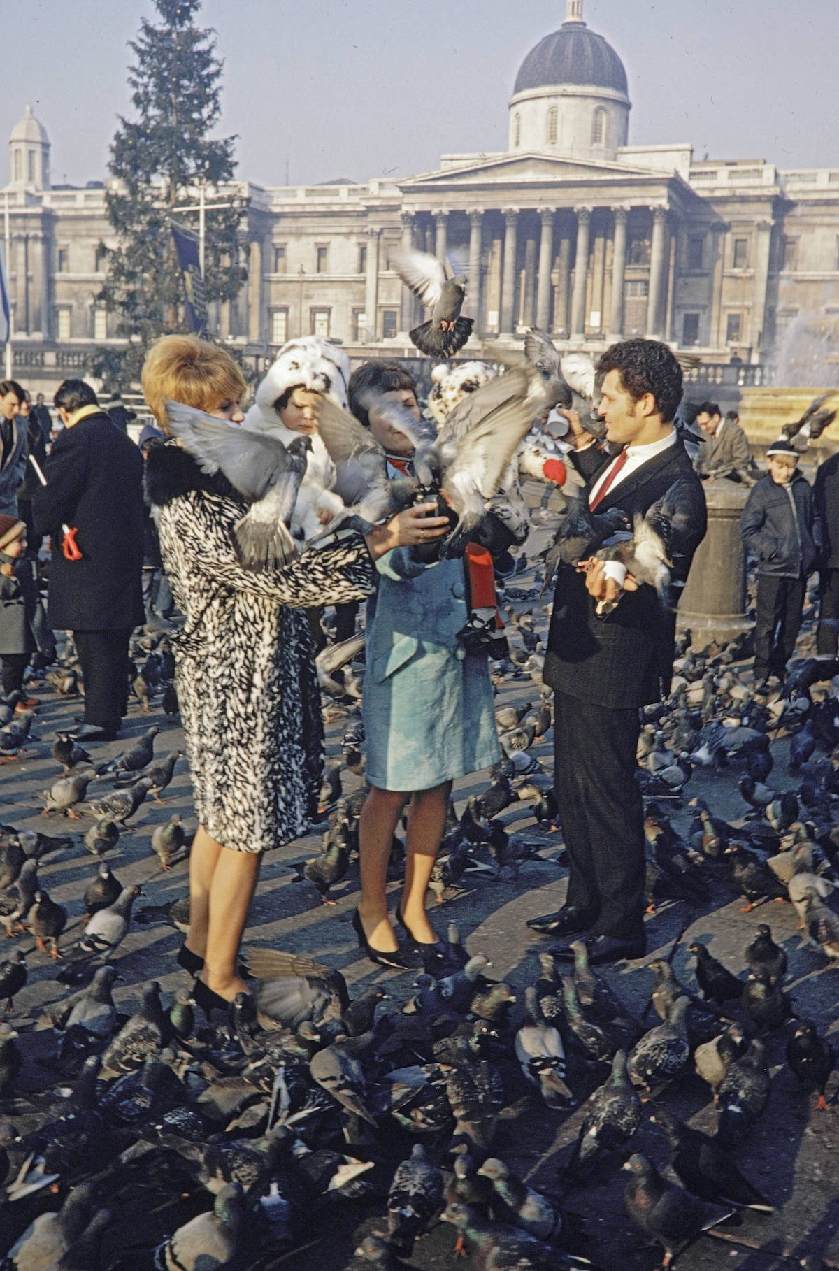 Feeding Pigeons Trafalgar Square London 1960s