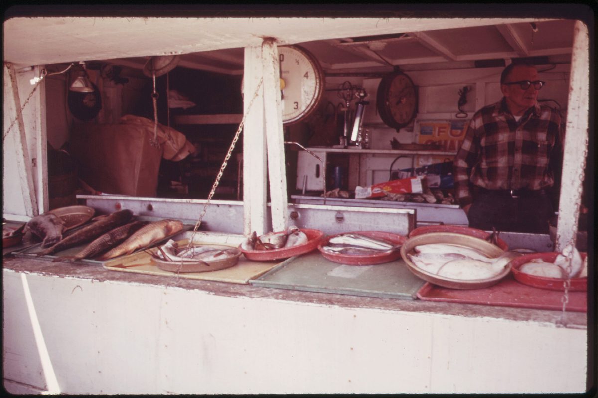 Sheepshead Bay Fish Store 05_1973