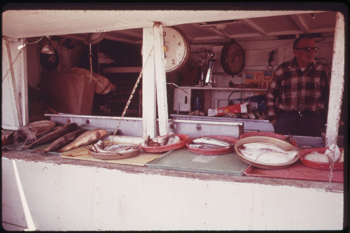 Sheepshead Bay Fish Store 05_1973 Flashbak