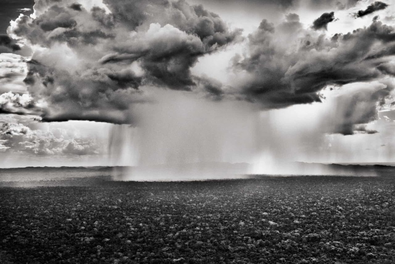 Sebastião Salgado Amazon
