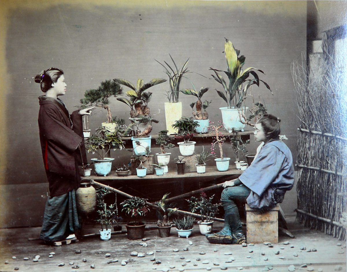Adolfo Farsari's Photographs of Japan