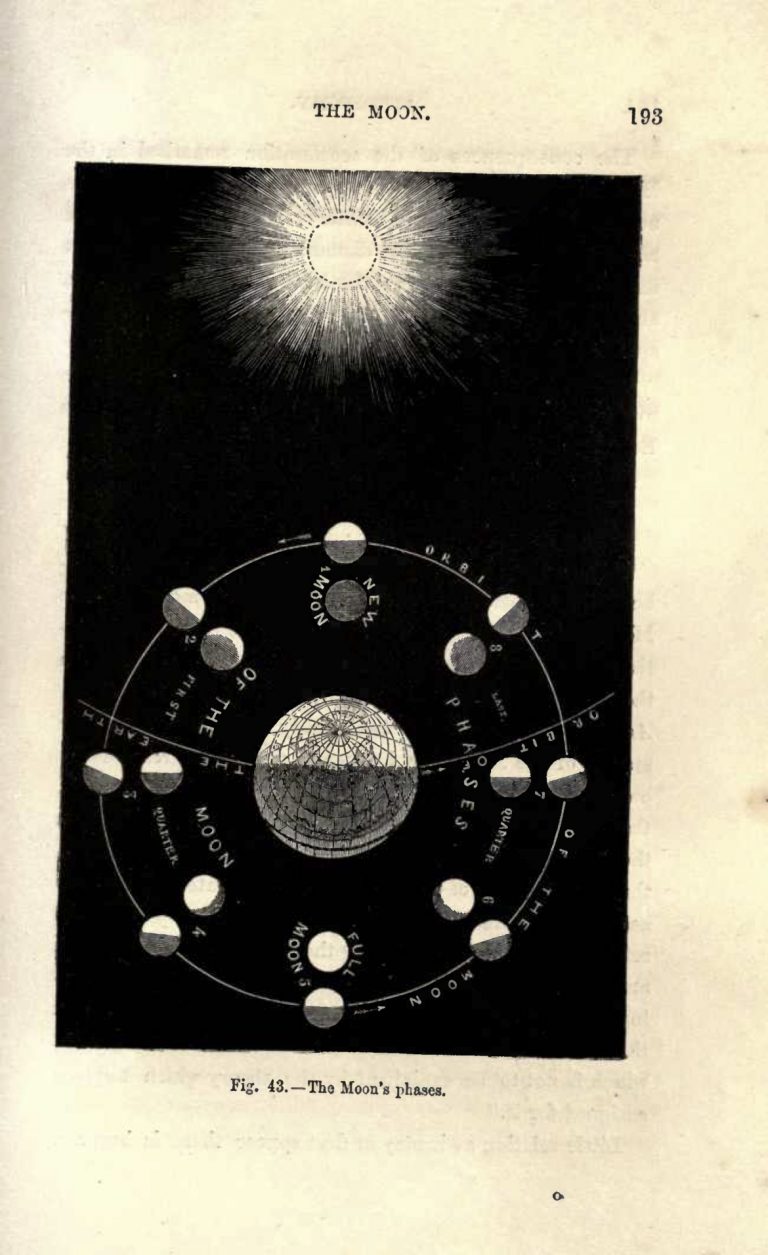 Illustrations From A 1875 Astronomy Book - Flashbak