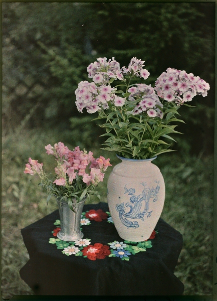 Autochrome Photographs