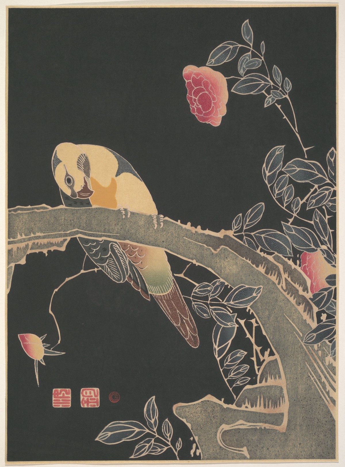 Parrot on the Branch of a Flowering Rose Bush (ca. 1900) illustration by Ito Jakuchu.