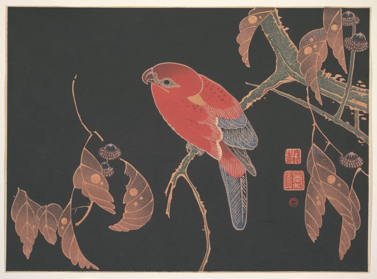 Red Parrot on the Branch of a Tree (ca. 1900) by Ito Jakuchu.