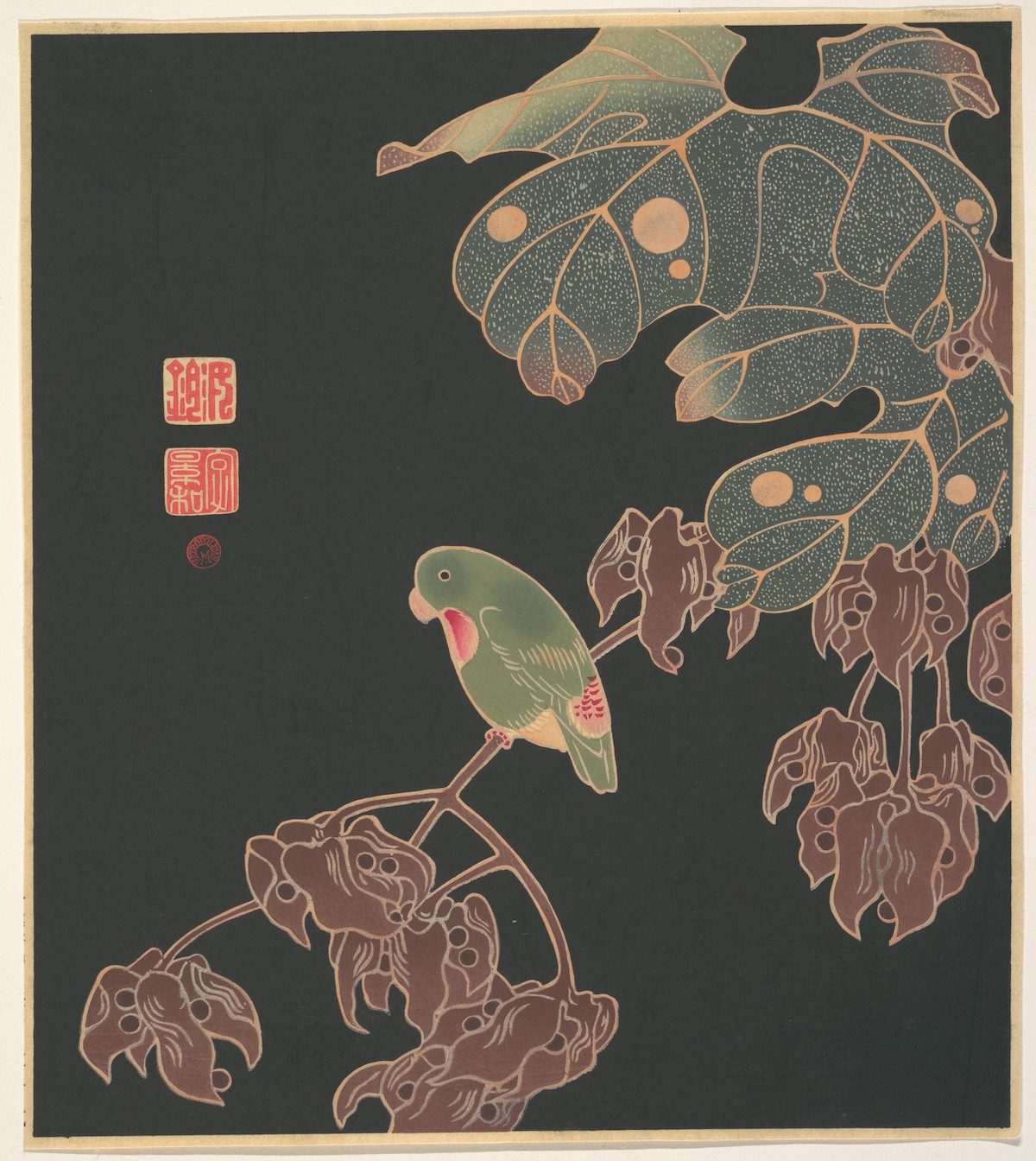 The Paroquet (ca. 1900) illustration by Ito Jakuchu. 