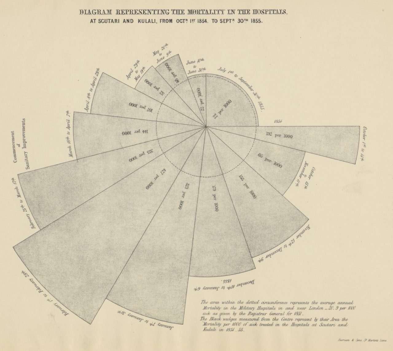 Florence Nightingale Chart