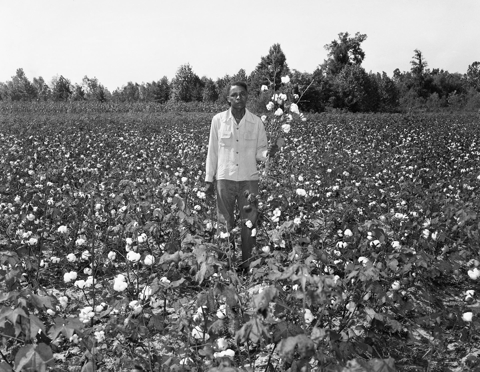 Portrait in a Cotton Field, no date Ernest C Withers