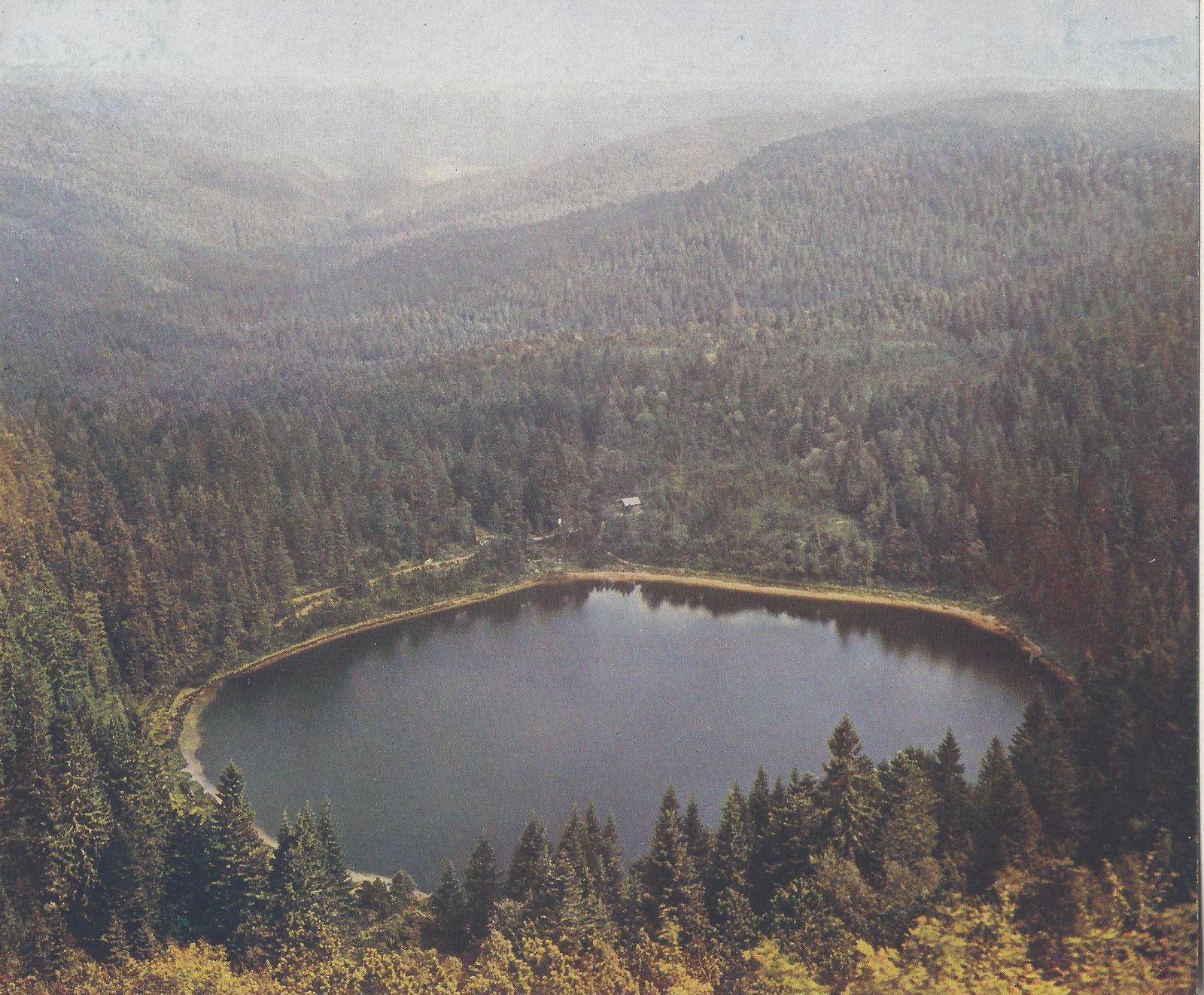 A Walk in the Black Forest: Autochromes from Early 1900’s Germany