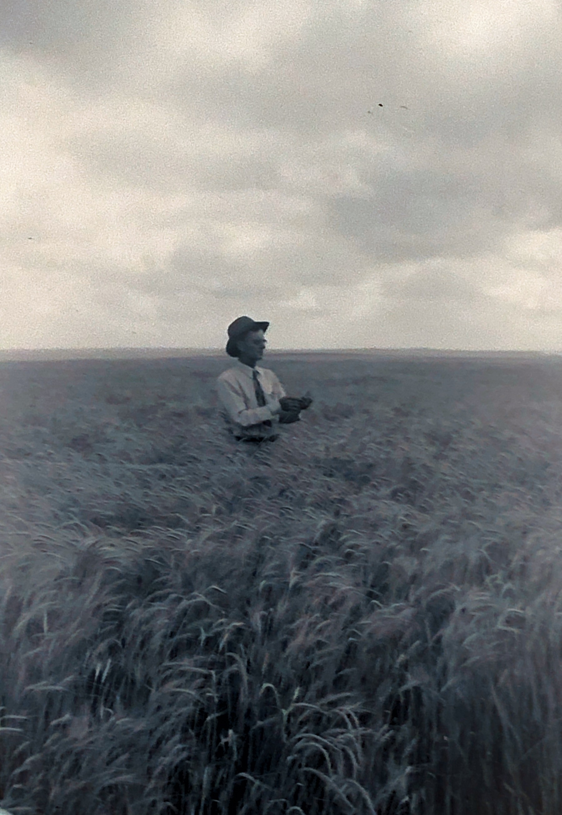 Depression era America 1930s