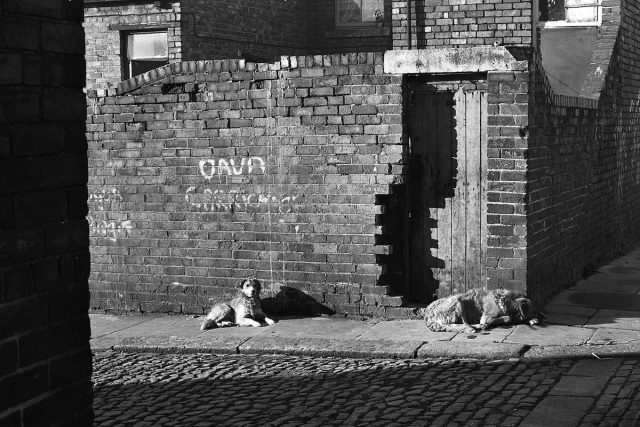 33 Photographs of Newcastle in the 1970s - Flashbak