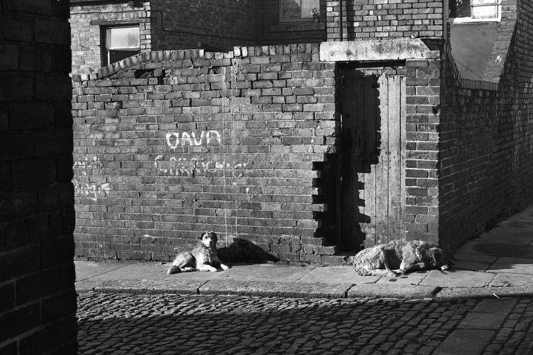 33 Photographs of Newcastle in the 1970s - Flashbak