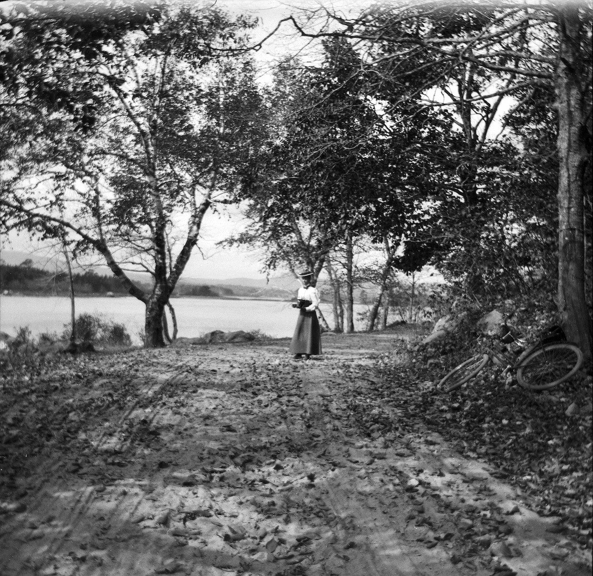 Woman walking along Turnpike Drive (now Rt. 52) in October 1899. She is carrying a camera and has a dog and bicycle with her.