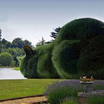 Artist Creates Memorials To His Lost Cat In Huge Gardens: The Immortal Topiary Cat